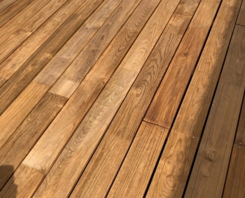 Pin des Landes ou pin maritime utilisé pour une terrasse de qualité