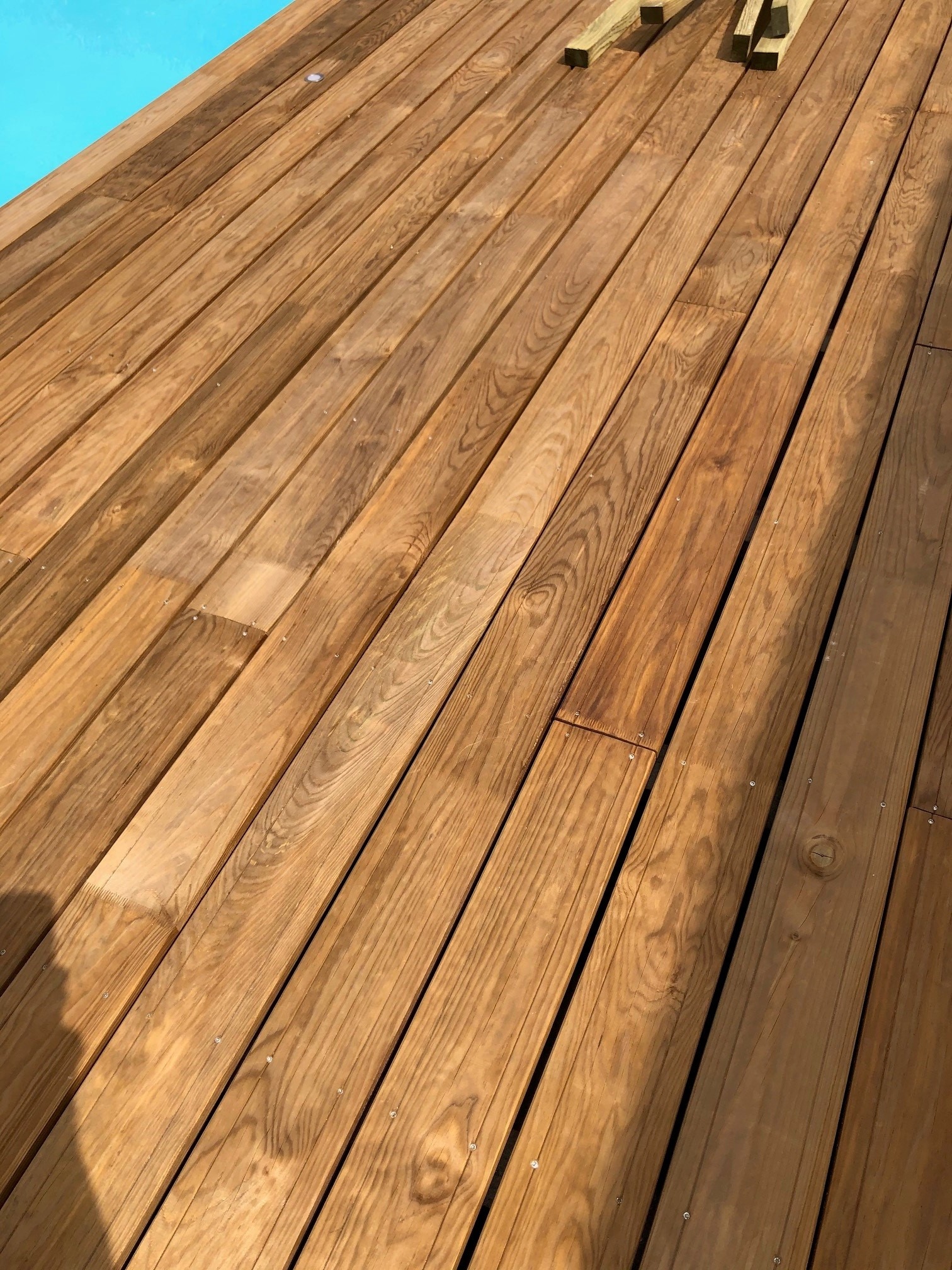Pin des Landes ou pin maritime utilisé pour une terrasse de qualité