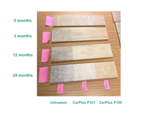 CerPlus P105W vieillissement sur 2 ans CerPlus P105W vieillissement sur 2 ans